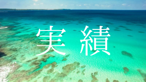 実績